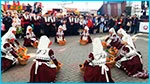 Гагаузы